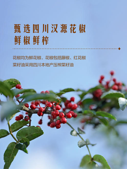 MM 山姆 五丰黎红 花椒油 265ml*2 商品图4