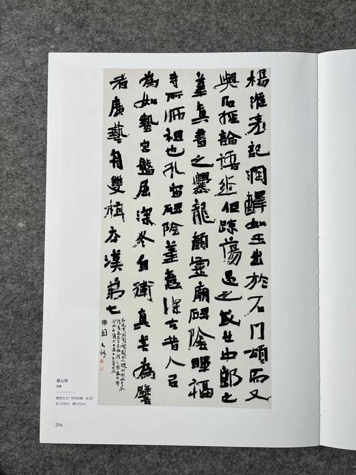 正版现货【十三届国展-行草作品】投展必备，大八开，418页 ，书法出版社 商品图8