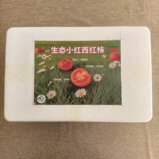 生态小红番茄 西红柿 口感佳 脆甜回甘 甜度高 汁水足 风味浓 生食比水果还好吃 商品图13