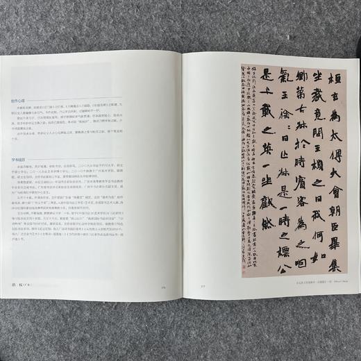 【全国第三届楷书展作品集】中书协编，附创作心得和学术经历 商品图7