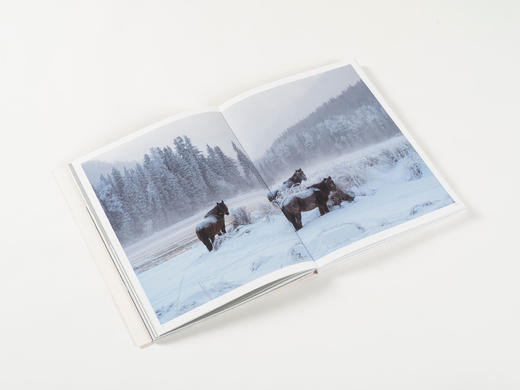 李刚《雪原马》摄影画册 马文化 北京美术摄影出版社 商品图3