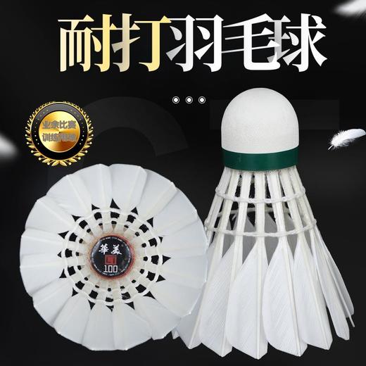 华美CT100羽毛球单边耐打不易烂飞行稳定学生俱乐部训练球鸭毛 商品图1