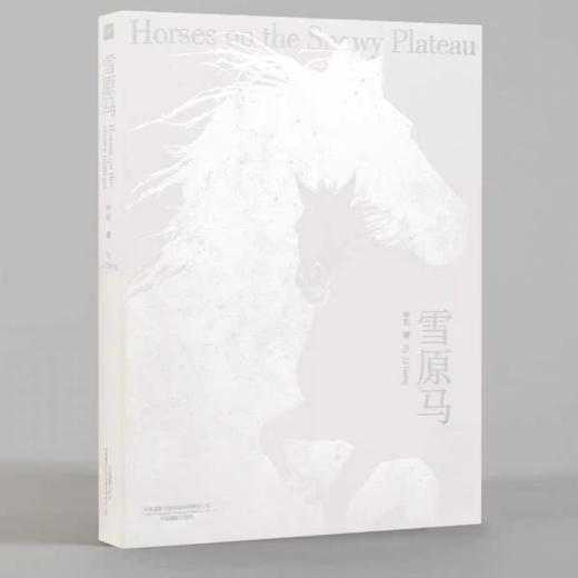李刚《雪原马》摄影画册 马文化 北京美术摄影出版社 商品图0