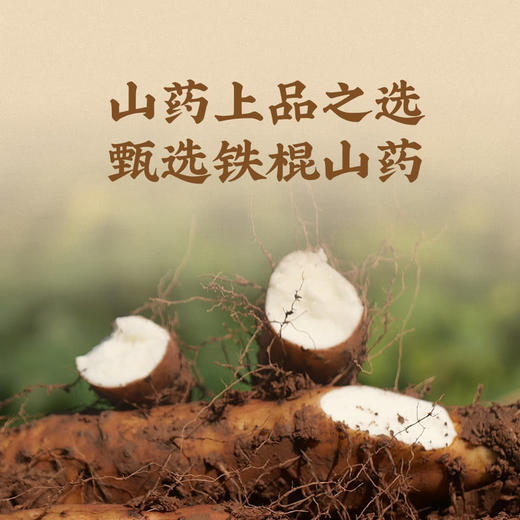 MM 山姆 无熏硫铁棍山药片 500g（100g*5袋） 商品图3