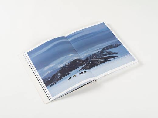 李刚《雪原马》摄影画册 马文化 北京美术摄影出版社 商品图5