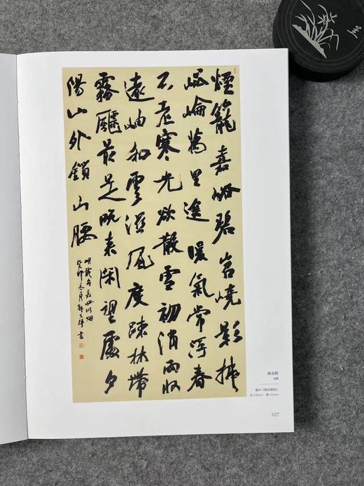 正版现货【十三届国展-行草作品】投展必备，大八开，418页 ，书法出版社 商品图1