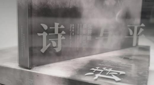 张耕畦《诗与平衡：张耕畦摄影作品集》 商品图2