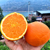 特惠活动『秭归福罗斯特脐橙』江边果园，新鲜春橙，浓甜爆汁，肉嫩无籽 商品缩略图7