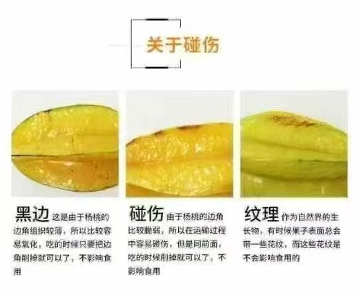 周一取货：【树熟杨桃】一盒1.8斤左右，入口清香，水份充盈！果肉细腻多汁！ 商品图6