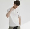 五色！FL男士休闲运动商务polo衫短袖   小斐polo衫 商品缩略图1