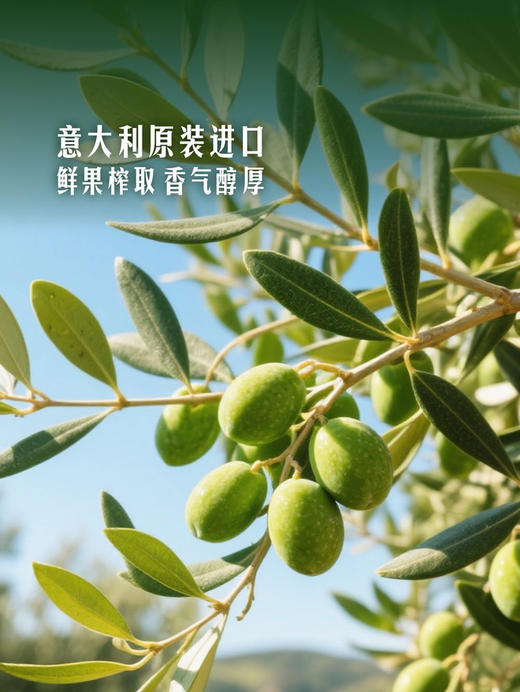 MM 山姆 Member's Mark 有机特级初榨橄榄油 1L 商品图4
