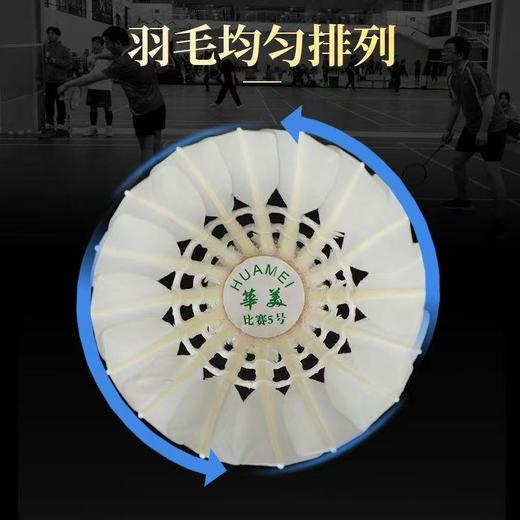 华美比赛5号羽毛球耐打稳定不易烂学生球馆训练比赛包邮12只 商品图3
