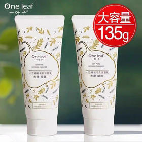 一叶子 大豆水嫩细肤洁面膏135g效期2030年1月细致毛孔55436