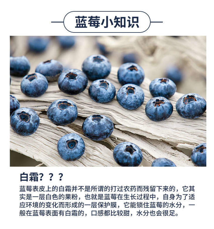 蓝莓详情页_07.jpg