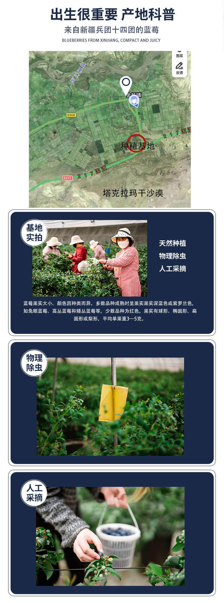 蓝莓详情页_05.jpg