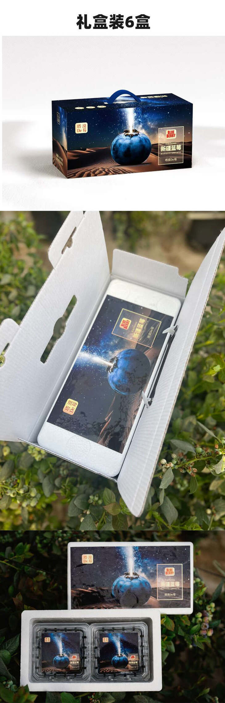 蓝莓详情页_12.jpg