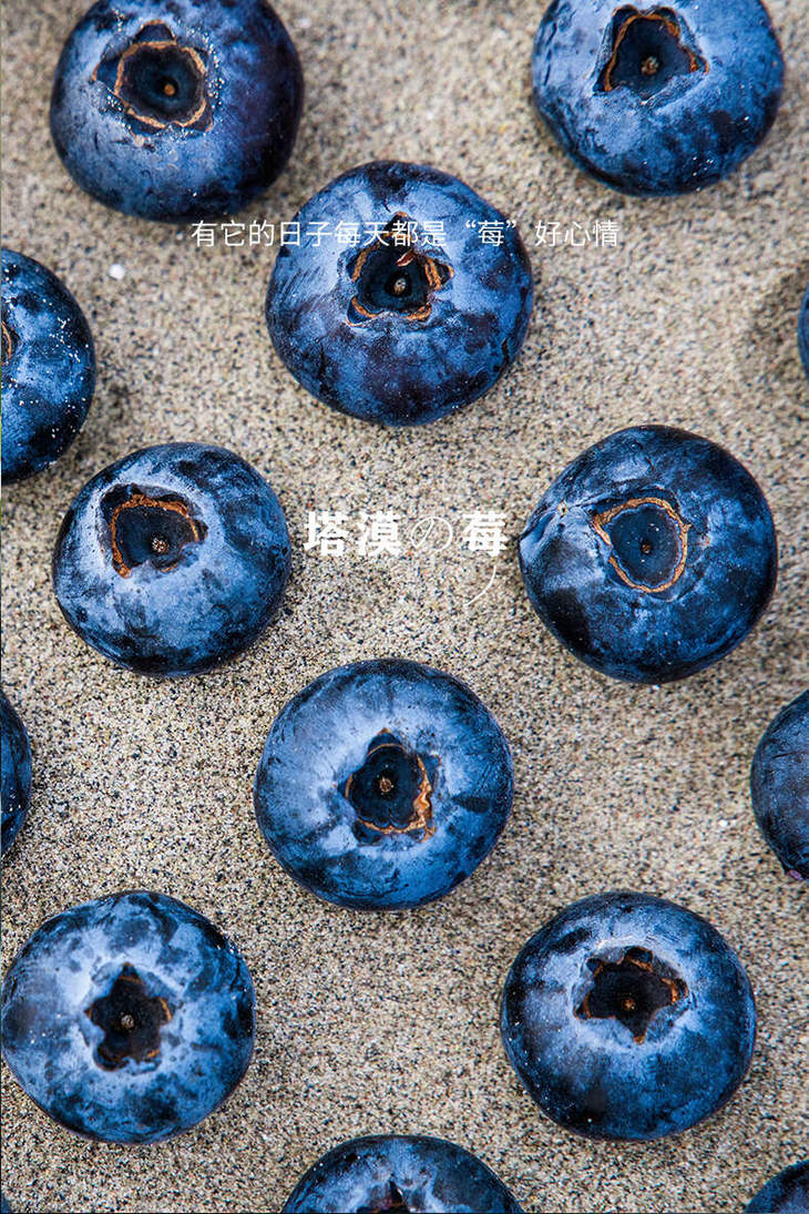 蓝莓详情页_01.jpg