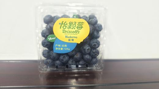 怡颗莓蓝莓 商品图0