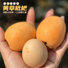 攀枝花米易黄草枇杷 商品缩略图5
