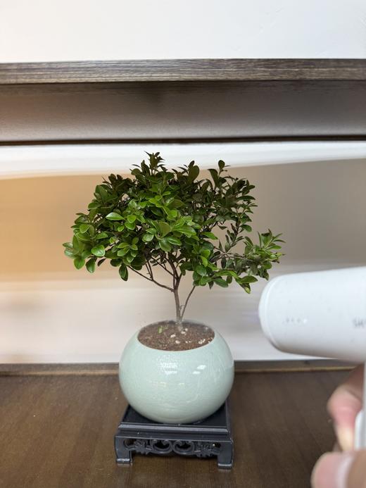 创维BDD金刚石手持消毒雾化器臭氧消毒家用喷雾壶消毒液雾化器 商品图9