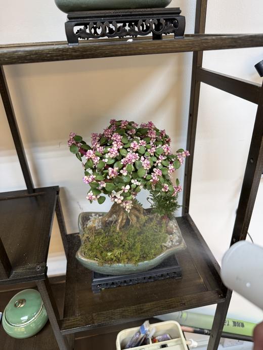 创维BDD金刚石手持消毒雾化器臭氧消毒家用喷雾壶消毒液雾化器 商品图8