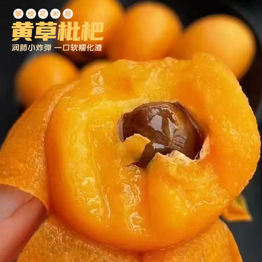 攀枝花米易黄草枇杷 商品图0