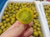 「一口惊艳」晴甜2号·完熟小绿番圣女果 txa 商品缩略图6