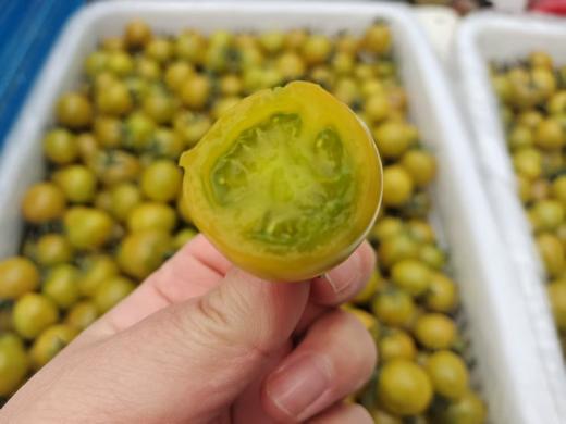 「一口惊艳」晴甜2号·完熟小绿番圣女果 txa 商品图6