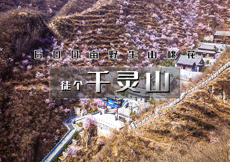1日｜千灵山｜600亩山桃花の京西南第一崇山千灵山-芦潭古道13公里<初级>