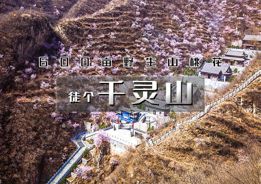 1日｜千灵山｜600亩山桃花の京西南第一崇山千灵山-芦潭古道13公里<初级> 商品图0