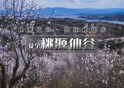 周末1日｜桃源仙谷｜登楼望海の桃源仙谷-四座楼9公里<初级> 商品图0