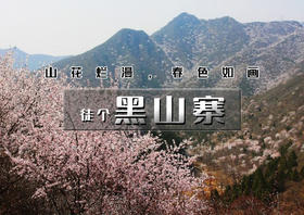 周末1日｜黑山寨｜漫山野桃花の黑山寨栈道环穿