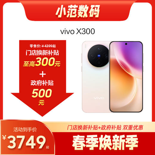 vivo X300 到店购机享150-300元补贴卷（补贴卷可作为VIP系列卷／回收卷／融合卷／配件卷/换新补贴/使用5选1） 商品图0