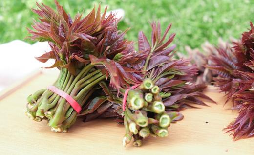 合作产品/中条山红油香椿（预计26号左右开始采摘，因前期天气气温低，香椿长势较缓.排单发货） 商品图0