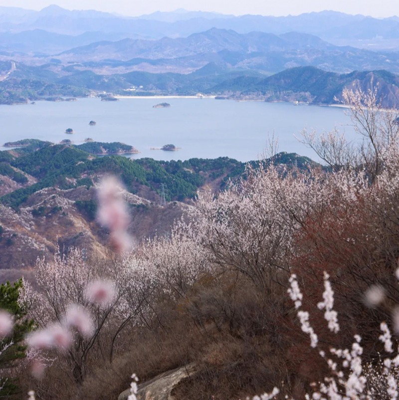 周末1天【桃源仙谷】登楼望海の桃源仙谷-四座楼9公里<初级>