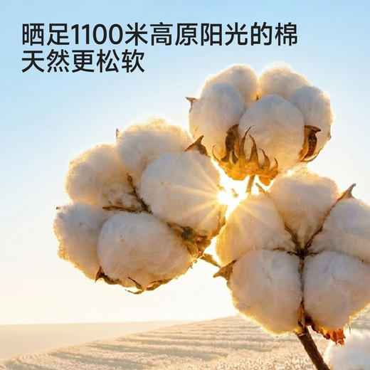 【商场同款】英氏男童短袖T恤夏新款上衣儿童圆领透气打底衫 商品图1