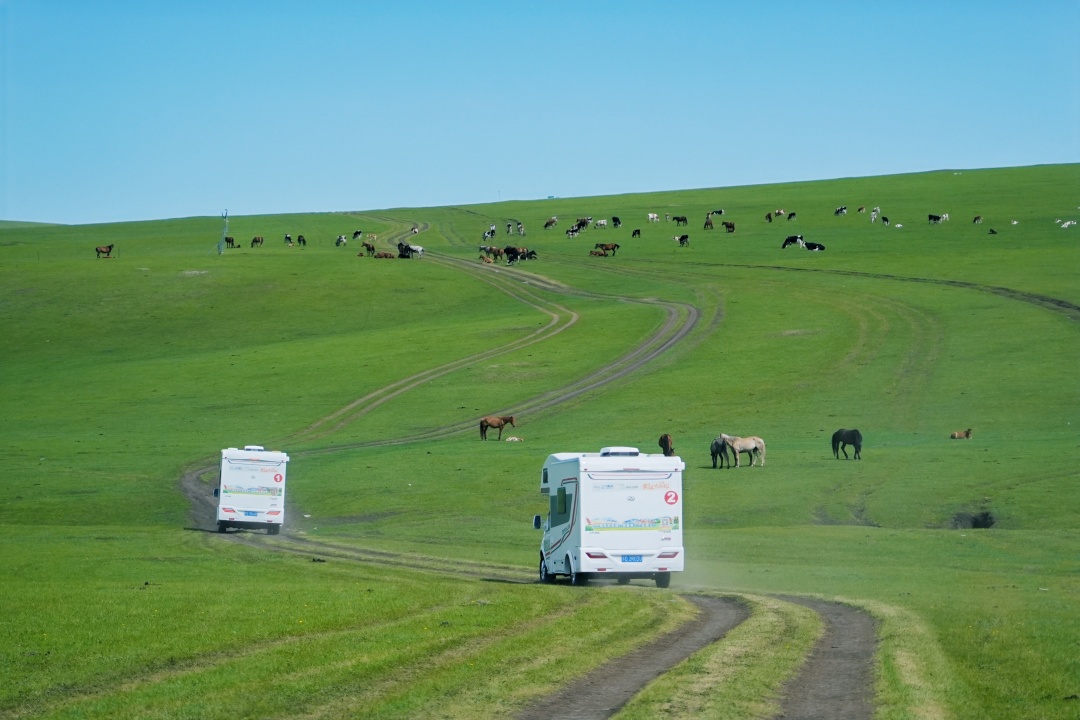 首发减1000【呼伦贝尔6天5夜房车营】大美呼伦贝尔草原，极致辽阔震撼！一家一车，野奢房车露营！私家牧场、2条定制骑马路线、森林红酒晚宴、探秘驯鹿…房车司机+领队+摄影师