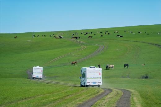首发减1000【呼伦贝尔6天5夜房车营】大美呼伦贝尔草原，极致辽阔震撼！一家一车，野奢房车露营！私家牧场、2条定制骑马路线、森林红酒晚宴、探秘驯鹿…房车司机+领队+摄影师 商品图0