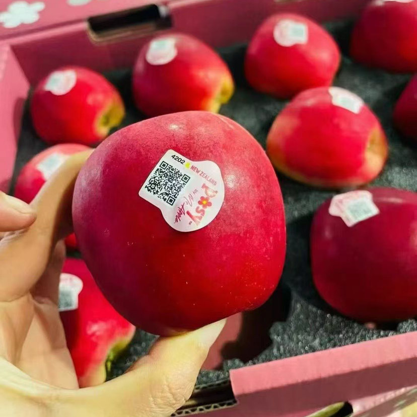 〔上海直发包邮06〕新西兰苹果