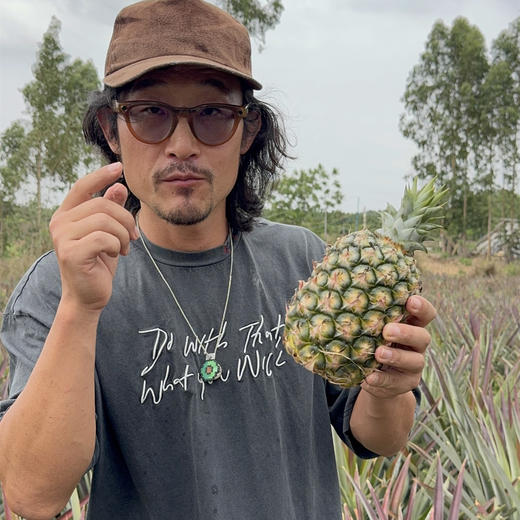 冬蜜凤梨丨即使青皮也可以食用，甜度高，无明显酸味，一口惊艳。⭐️顺丰快递 商品图2