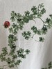 女款花卉印花短袖T恤ba010 商品缩略图2