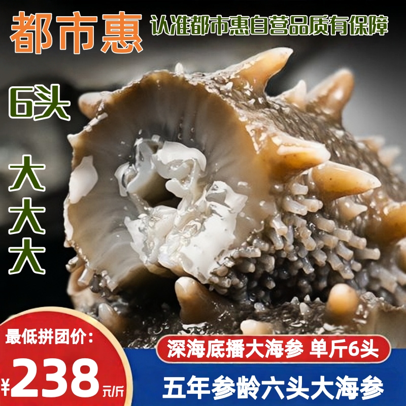 电视推荐【优选5年】正宗大连辽刺参鲜食海参 新春特惠6头大海参滋补组