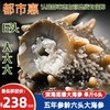 电视推荐【优选5年】正宗大连辽刺参鲜食海参 新春特惠6头大海参滋补组 商品缩略图0