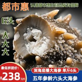 电视推荐【优选5年】正宗大连辽刺参鲜食海参 新春特惠6头大海参滋补组
