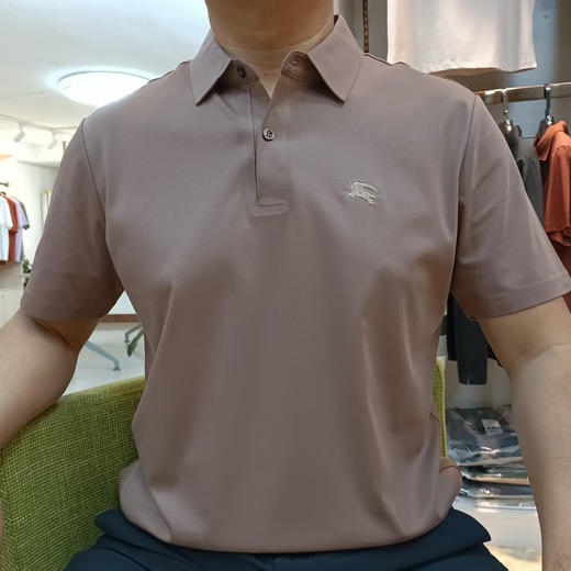 100支丝光5A抗菌凉感舒适绣标男士翻领上衣   XYD*-887801 商品图0