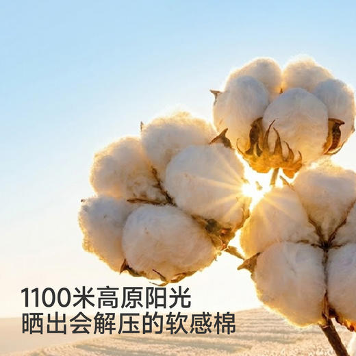 【商场同款】英氏男童短袖T恤夏新款透气小衫儿童圆领打底衫 商品图2