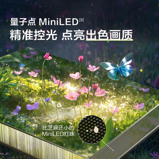 三星Frame画壁艺术电视 LS03F 系列 miniLED AI电视 144Hz 量子点 一级能效65英寸 QA65LS03FAJXXZ 商品图4