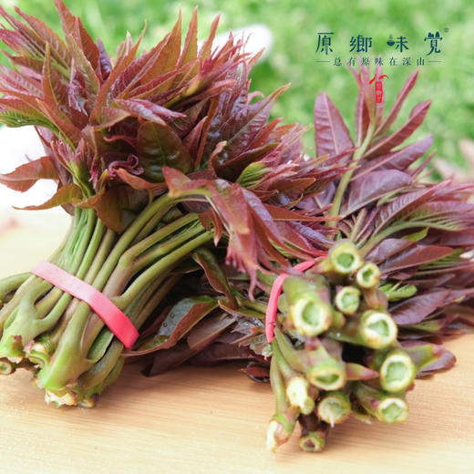 【预售】生态红油香椿（基地直发-京东包邮）| 多种规格，来自山西中条山，生产者：蒲韩青年公社社员，【合作生产，公平贸易】 商品图9