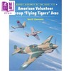 【中商原版】美国志愿大队 飞虎队 王牌飞行员 American Volunteer Group Flying Tigers  Aces 英文原版 Terrill J Clements 商品缩略图0