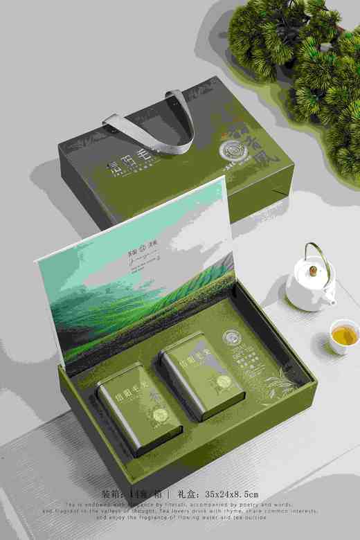 23元/套【茶韵清风毛尖2听.绿色】整箱14套.整箱322元.整箱包邮 商品图2